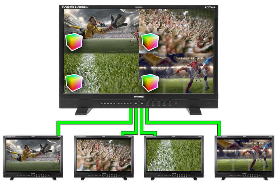 XMP550 Quad View with LUTs
