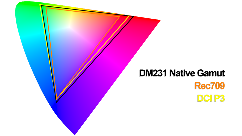 DM231-color-space-web.png