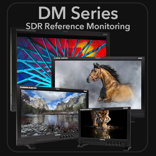 DM Series